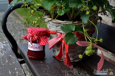 Container Gardening Strawberries Potted Plants