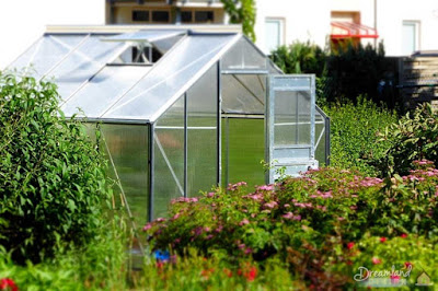 Greenhouse - Protecting Plants From Frost, Storing Plants Outdoors During the Winter
