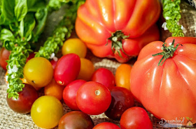 Tomatoes Are Low In Calories