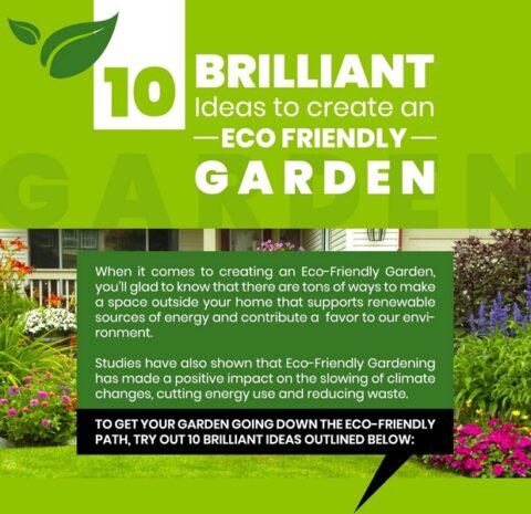 10 Brilliant Ways To Create An Eco-Friendly Garden [Infographic]