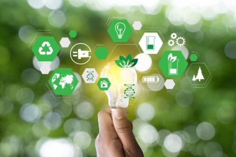 The Art Of Going Green: How To Become A Sustainable Business