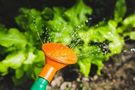 How Often Should I Water My Garden? A Simple Guide