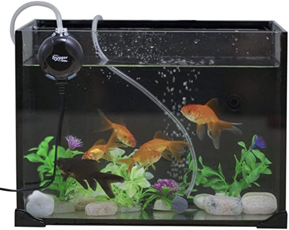 aqua culture aquarium pump