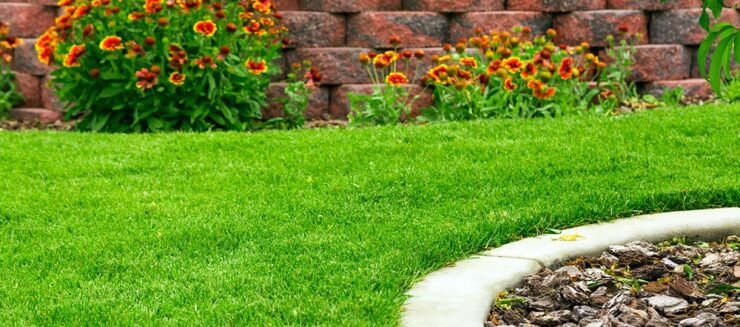 Ways In Which Modern Landscaping Impact The Environment