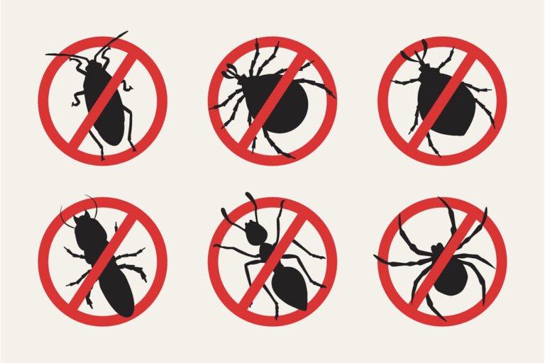 6 Easy Ways to Get Rid of Common Household Bugs