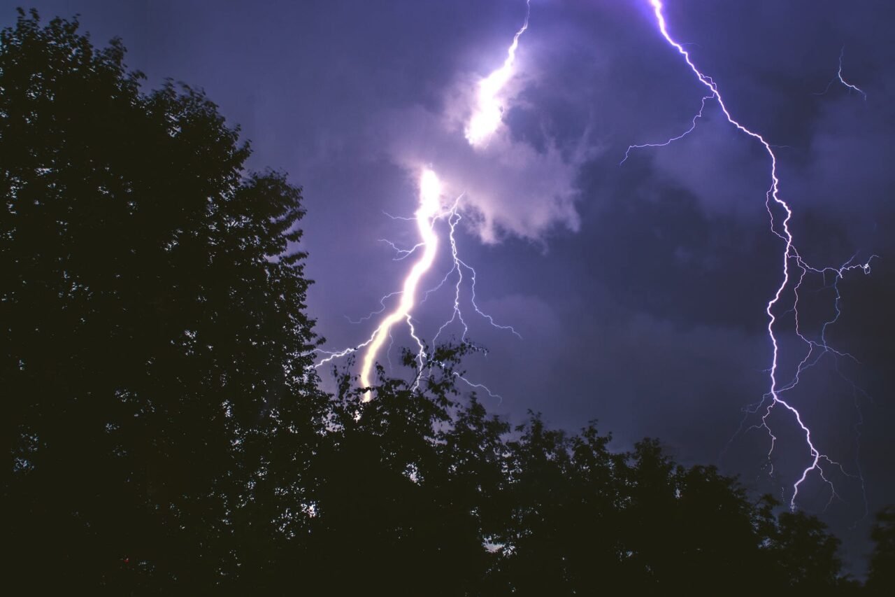 Identifying Storm-Damaged Trees and Proper Caring Measures for Them